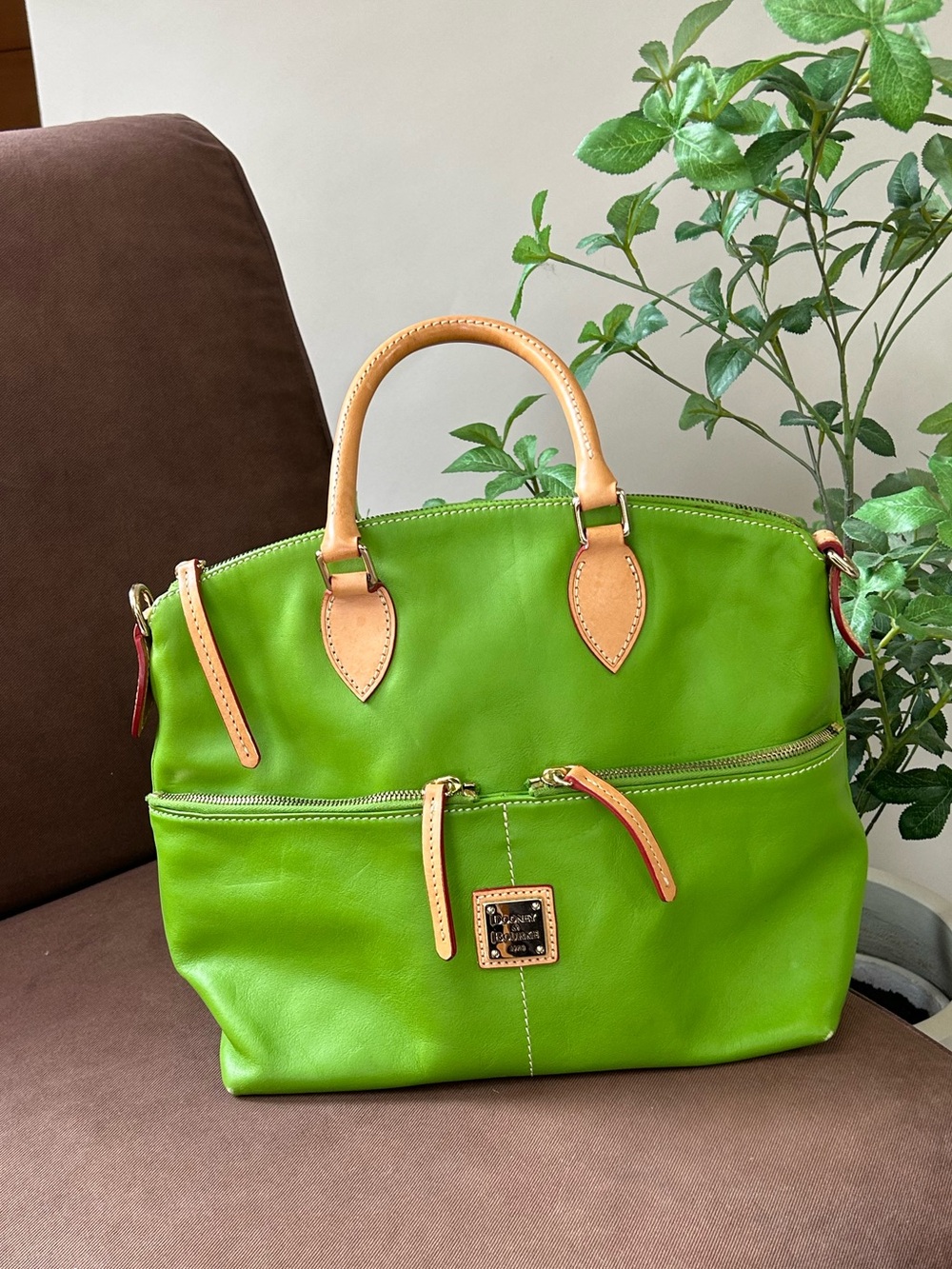 Dooney & Bourke Green Leather Double Pocket Satchel